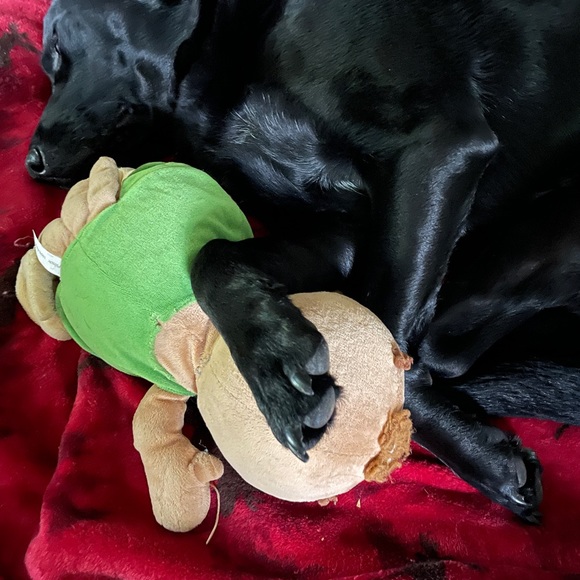 Meet your Posher, Tracy - Picture 2 of 8